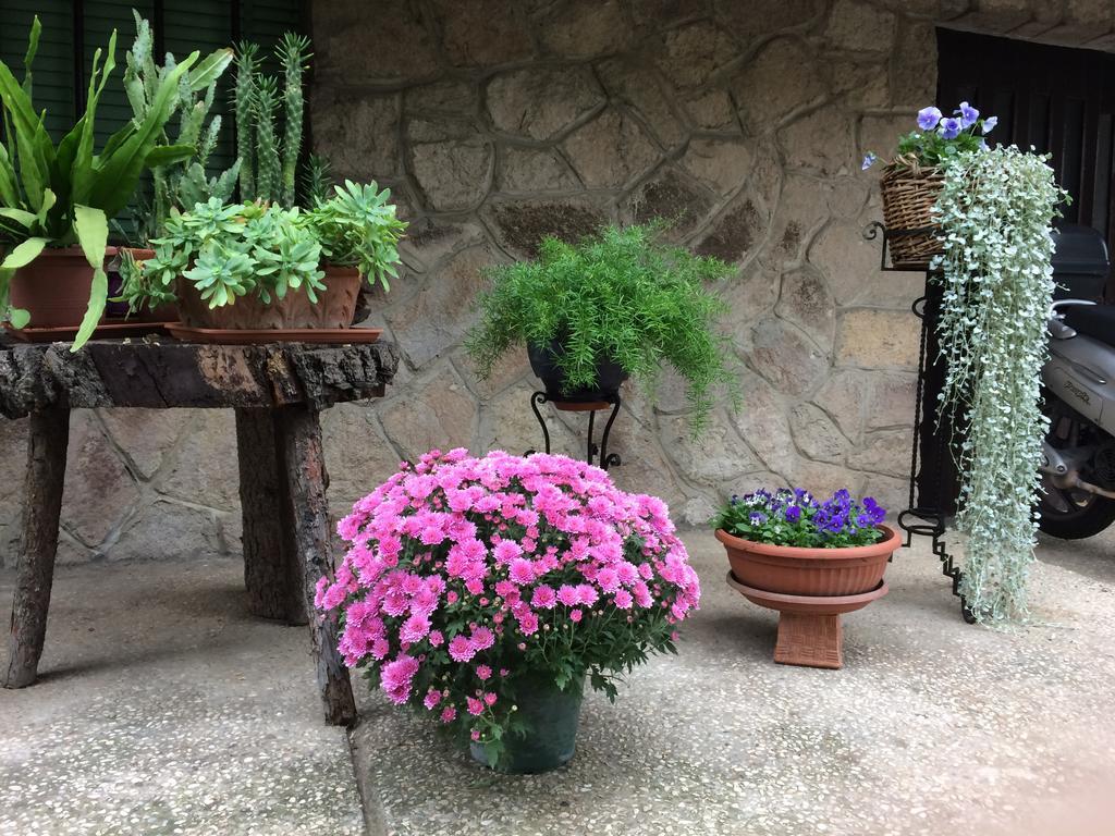 Tencarola B&B Exterior foto